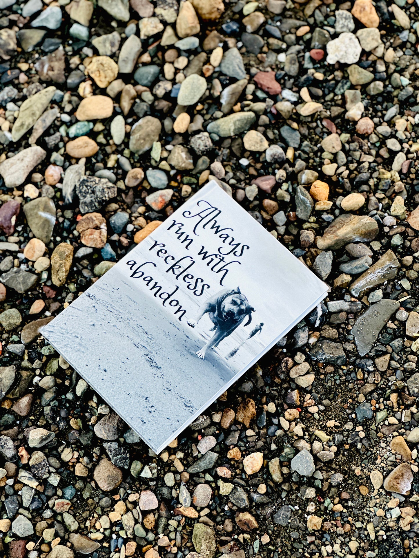 "Reckless Abandon" Sketchbook: Be Fearless at Heart