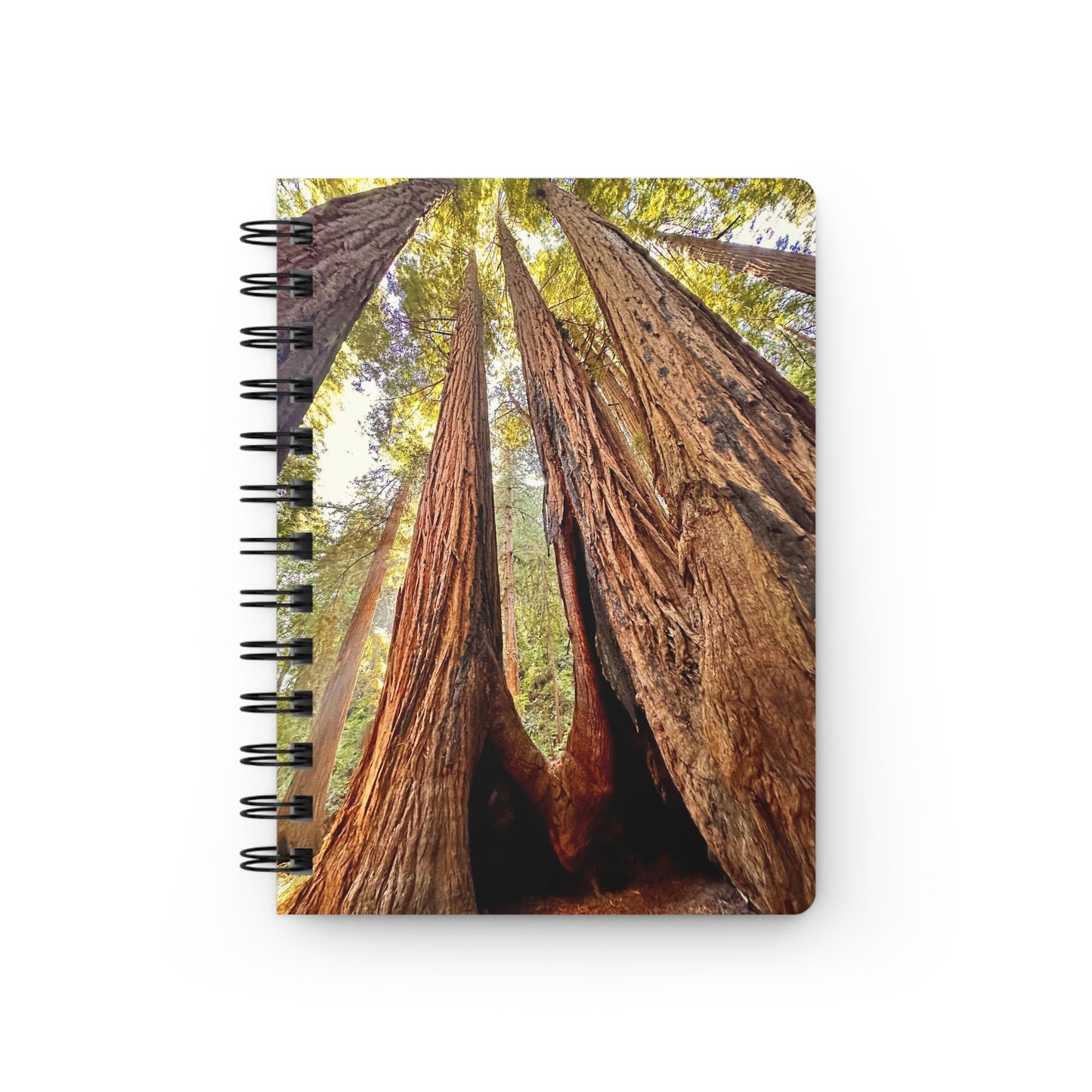 The Muir Woods Redwood Trees Dreamy 4-Cover Notebook