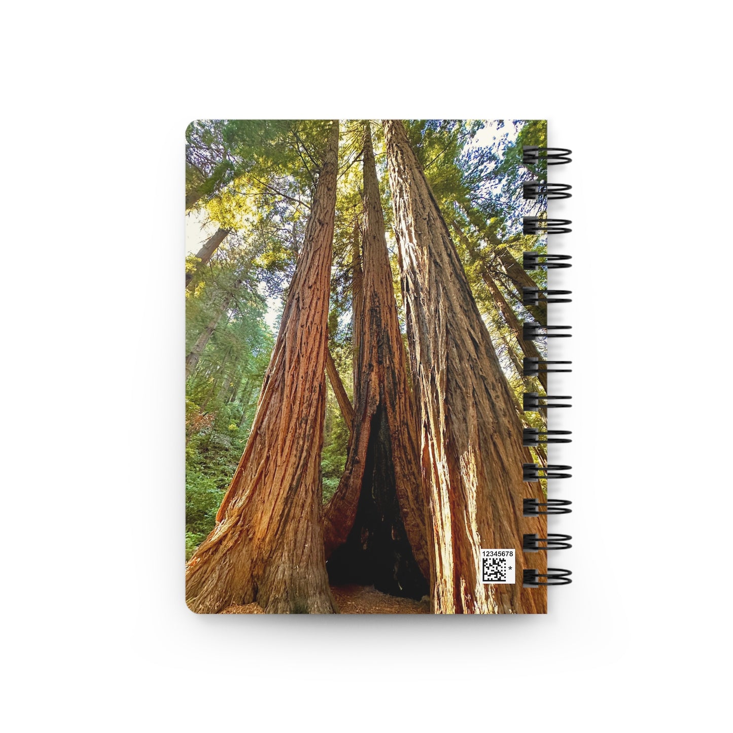 The Muir Woods Redwood Trees Dreamy 4-Cover Notebook