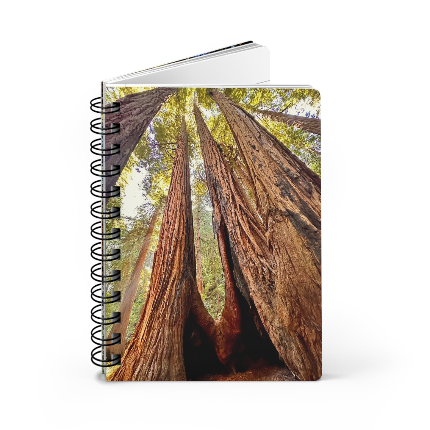 The Muir Woods Redwood Trees Dreamy 4-Cover Notebook