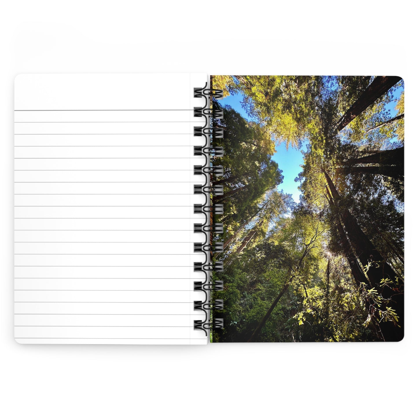 The Muir Woods Redwood Trees Dreamy 4-Cover Notebook