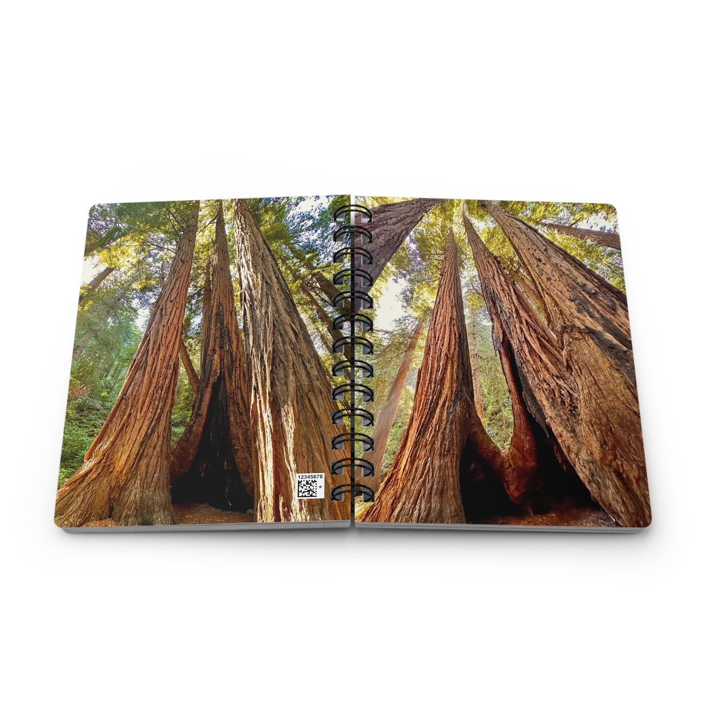 The Muir Woods Redwood Trees Dreamy 4-Cover Notebook