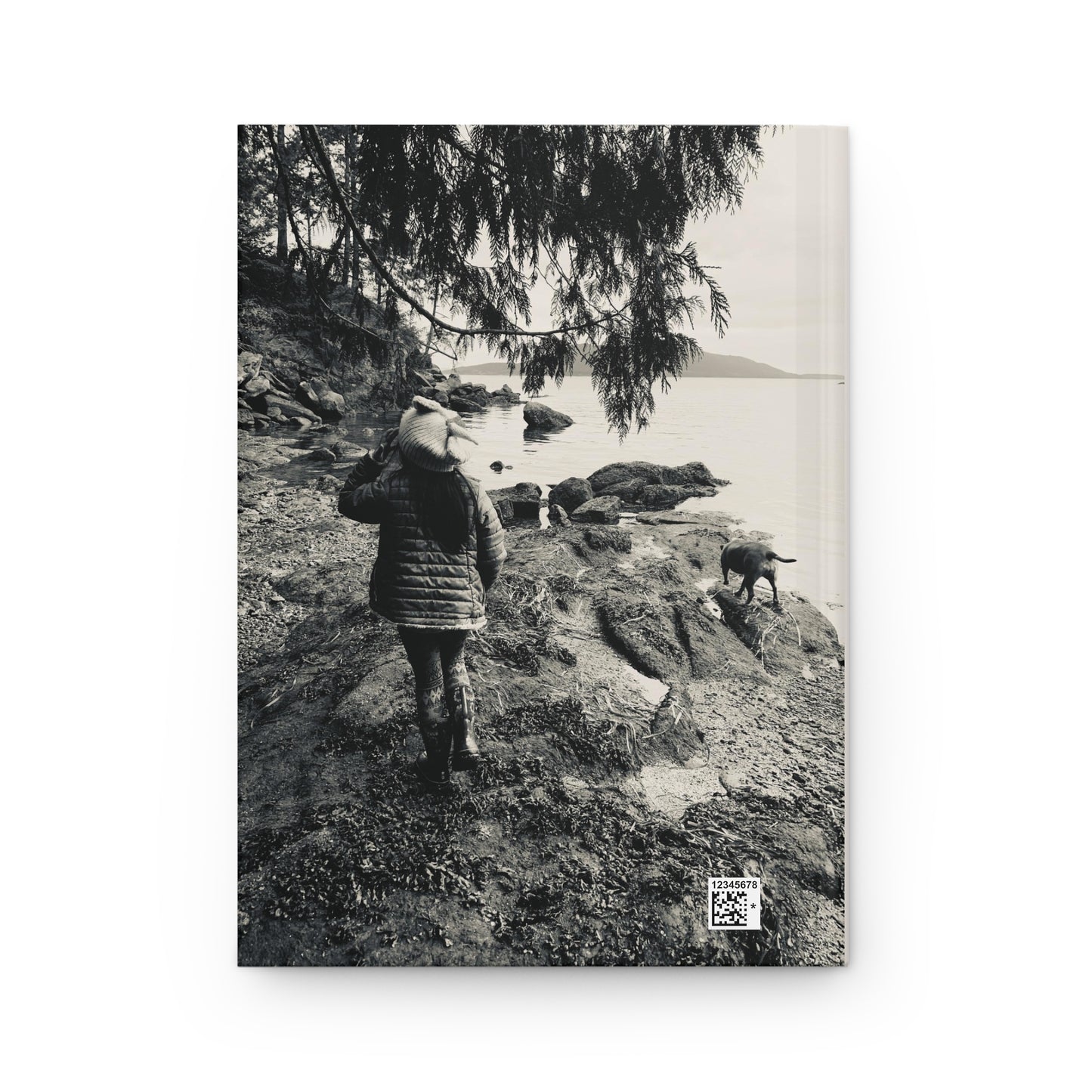 "Steer Your Story": Navigate Your Journey with Style and Inspiration