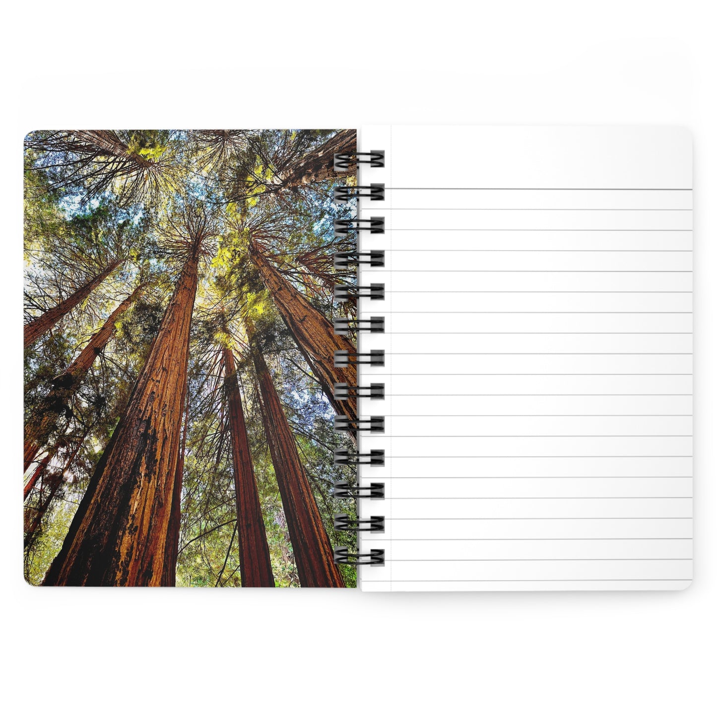 The Muir Woods Redwood Trees Dreamy 4-Cover Notebook